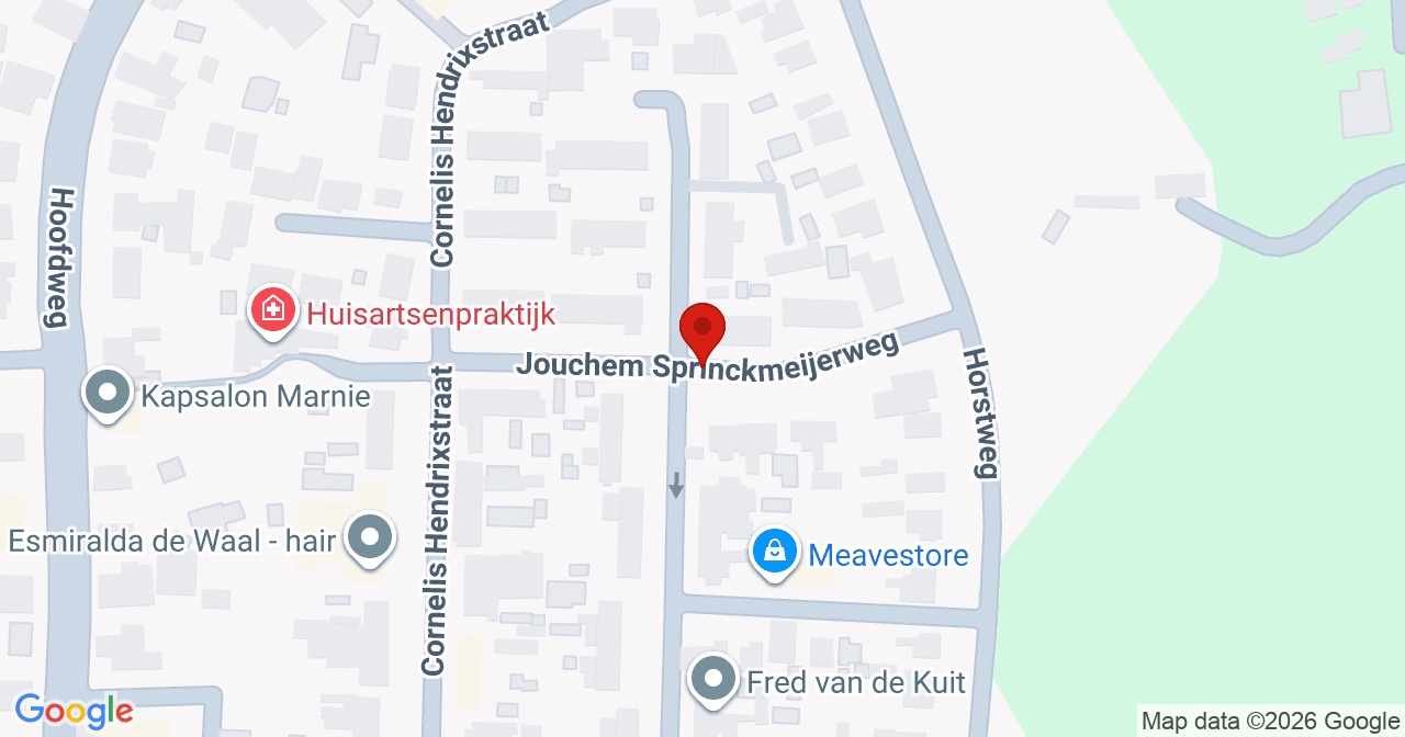 Kaart van het incident in Loenen met de aanrijroutes van de gealarmeerde eenheden