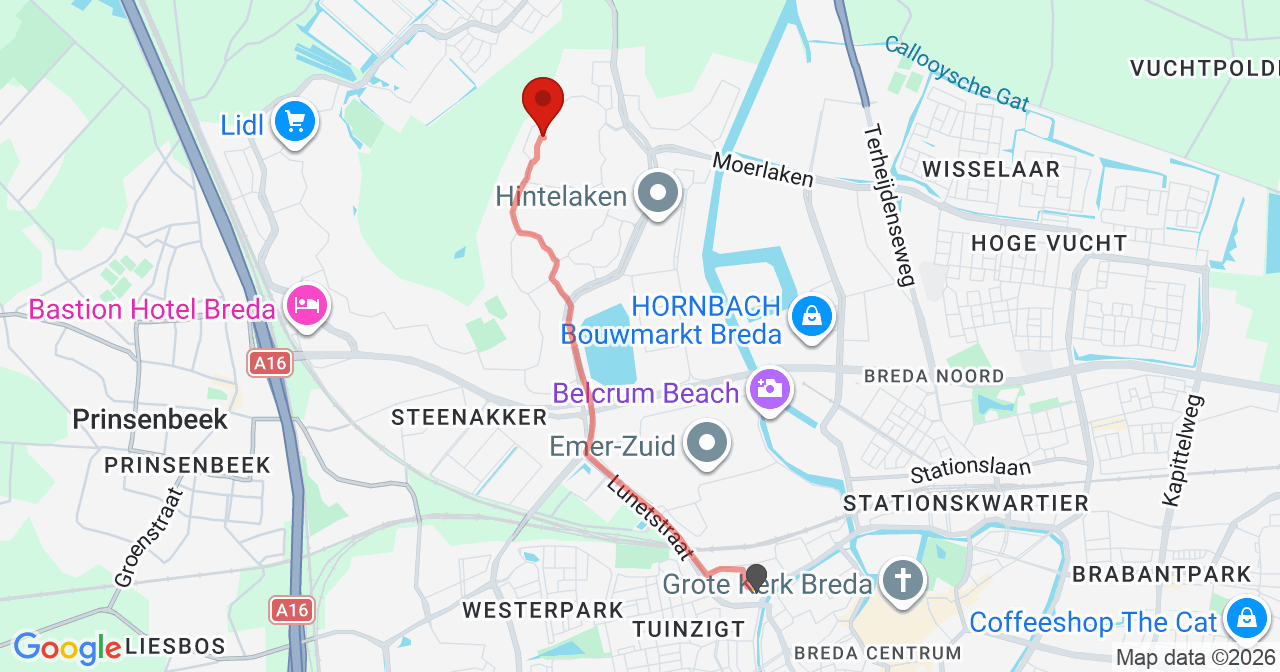 Kaart van het incident in Breda met de aanrijroutes van de gealarmeerde eenheden
