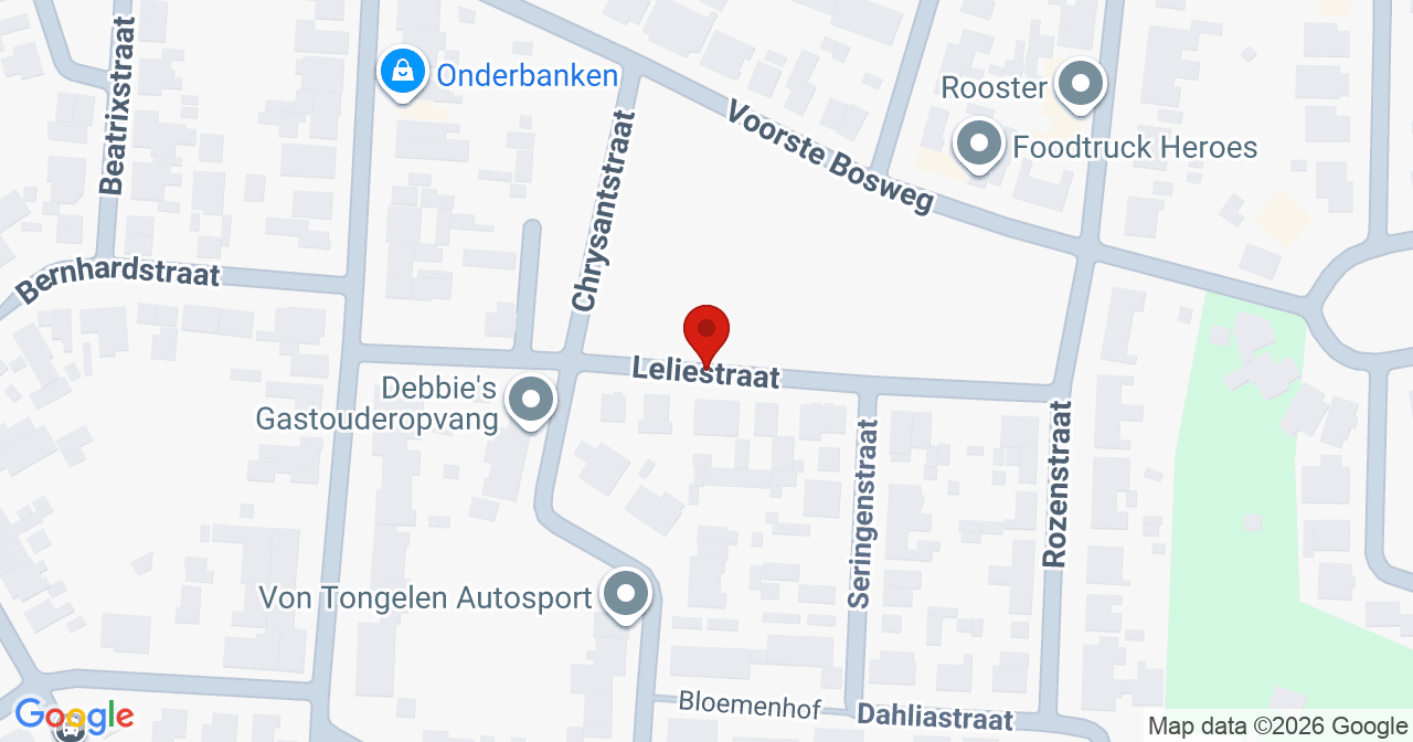 Kaart van het incident in Schinveld met de aanrijroutes van de gealarmeerde eenheden