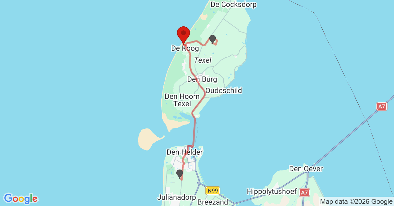 Kaart van het incident in De Koog met de aanrijroutes van de gealarmeerde eenheden