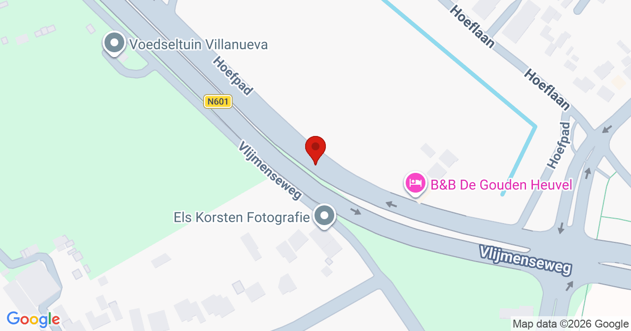 Kaart van het incident in 's-Hertogenbosch met de aanrijroutes van de gealarmeerde eenheden