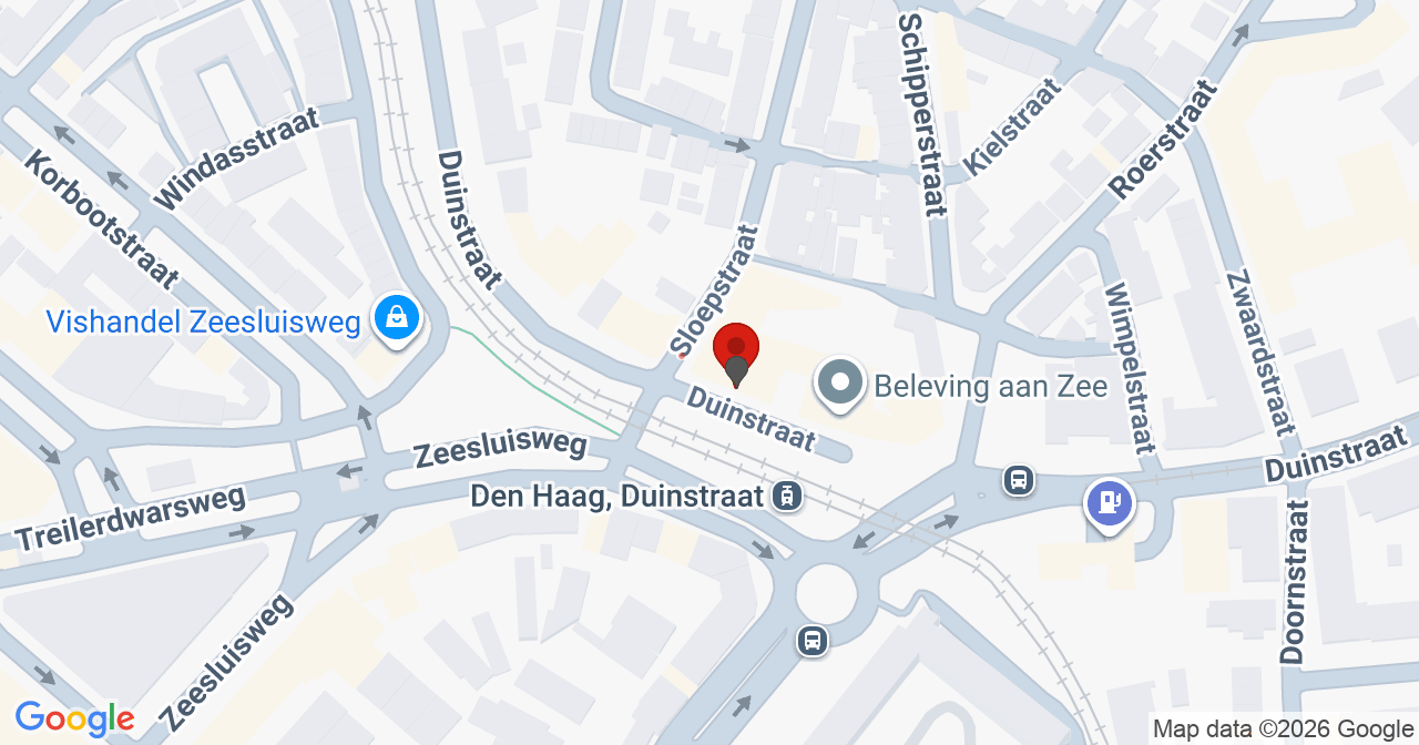 Kaart van het incident in 's-Gravenhage met de aanrijroutes van de gealarmeerde eenheden