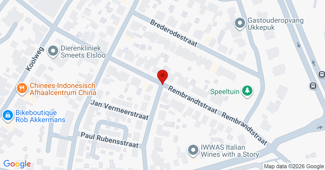 Kaart van het incident in Elsloo met de aanrijroutes van de gealarmeerde eenheden