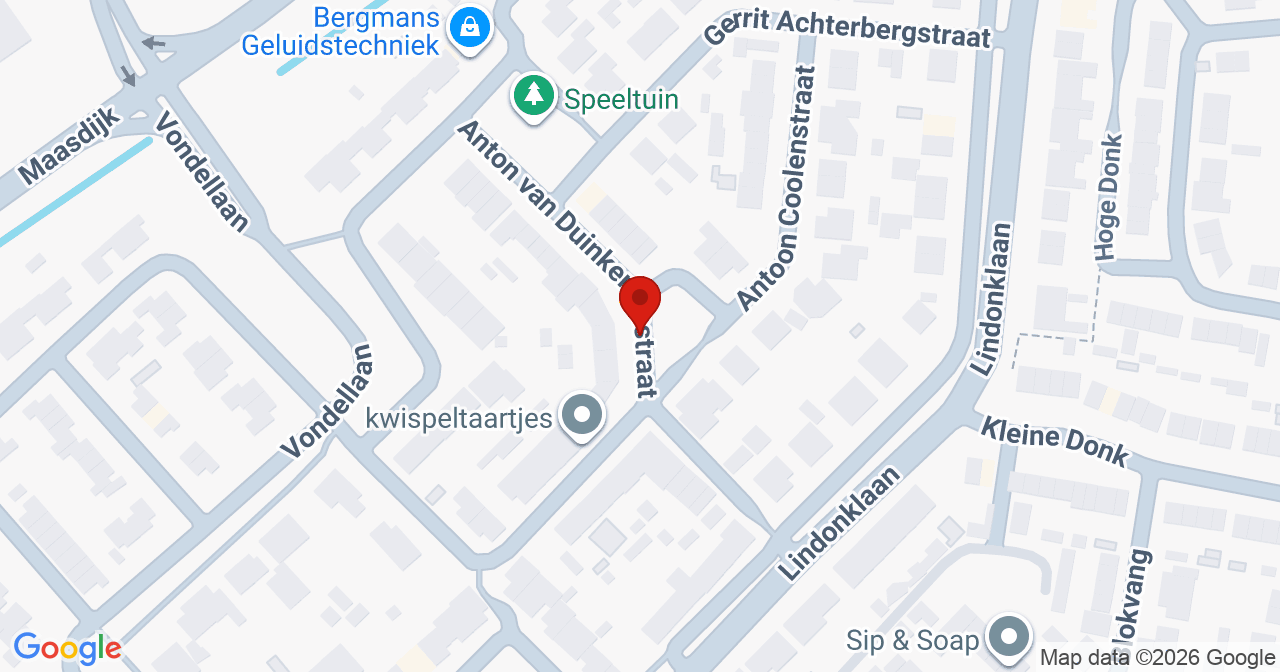 Kaart van het incident in Raamsdonksveer met de aanrijroutes van de gealarmeerde eenheden