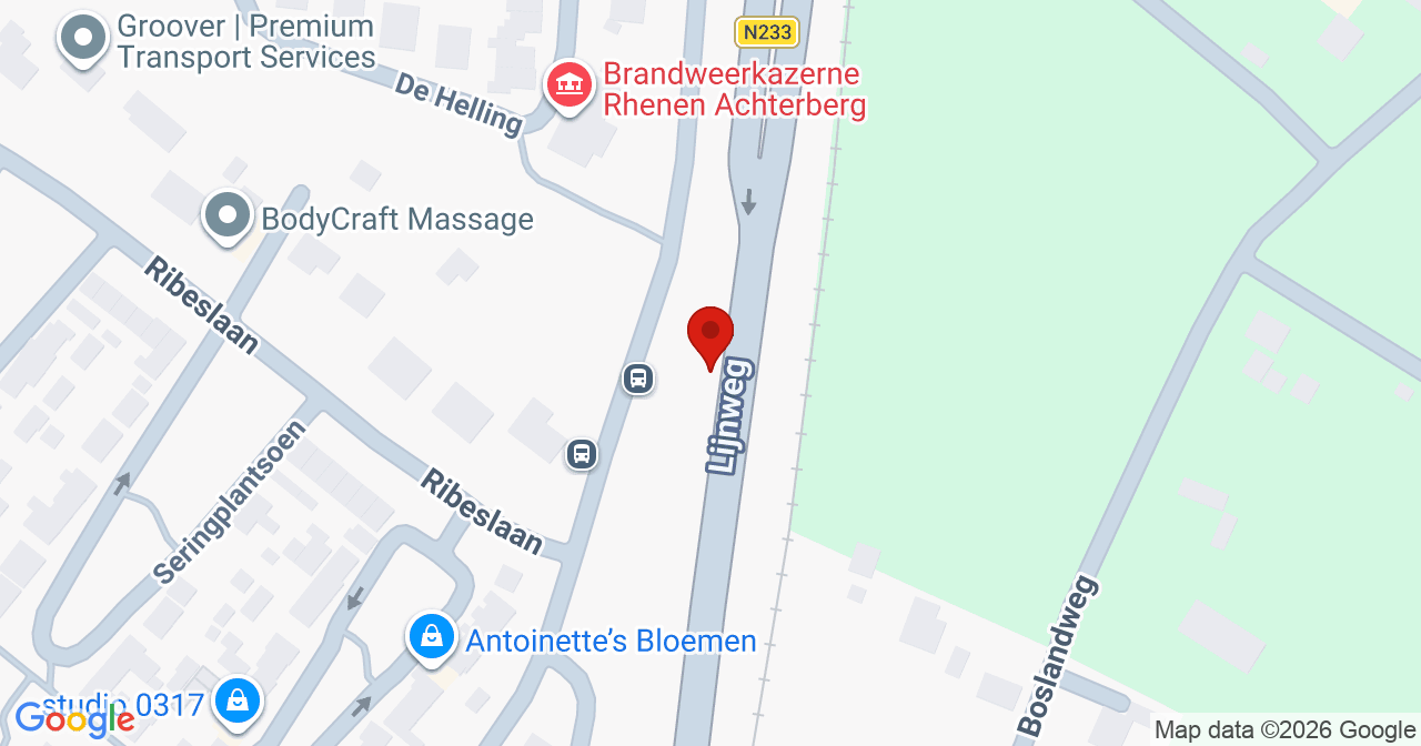 Kaart van het incident in Rhenen met de aanrijroutes van de gealarmeerde eenheden