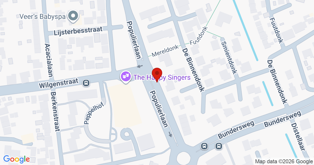 Kaart van het incident in Veghel met de aanrijroutes van de gealarmeerde eenheden