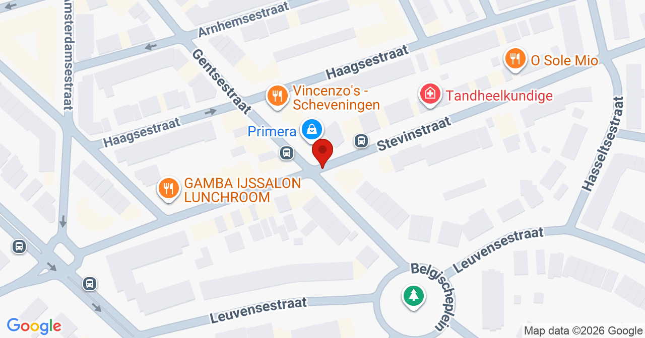 Kaart van het incident in 's-Gravenhage met de aanrijroutes van de gealarmeerde eenheden
