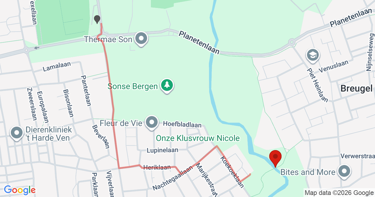 Kaart van het incident in Son en Breugel met de aanrijroutes van de gealarmeerde eenheden