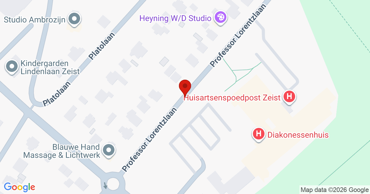 Kaart van het incident in Zeist met de aanrijroutes van de gealarmeerde eenheden