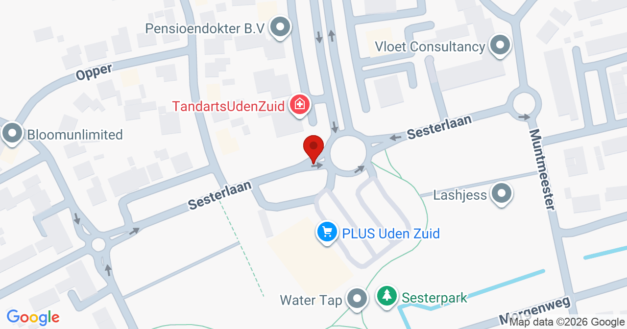 Kaart van het incident in Uden met de aanrijroutes van de gealarmeerde eenheden