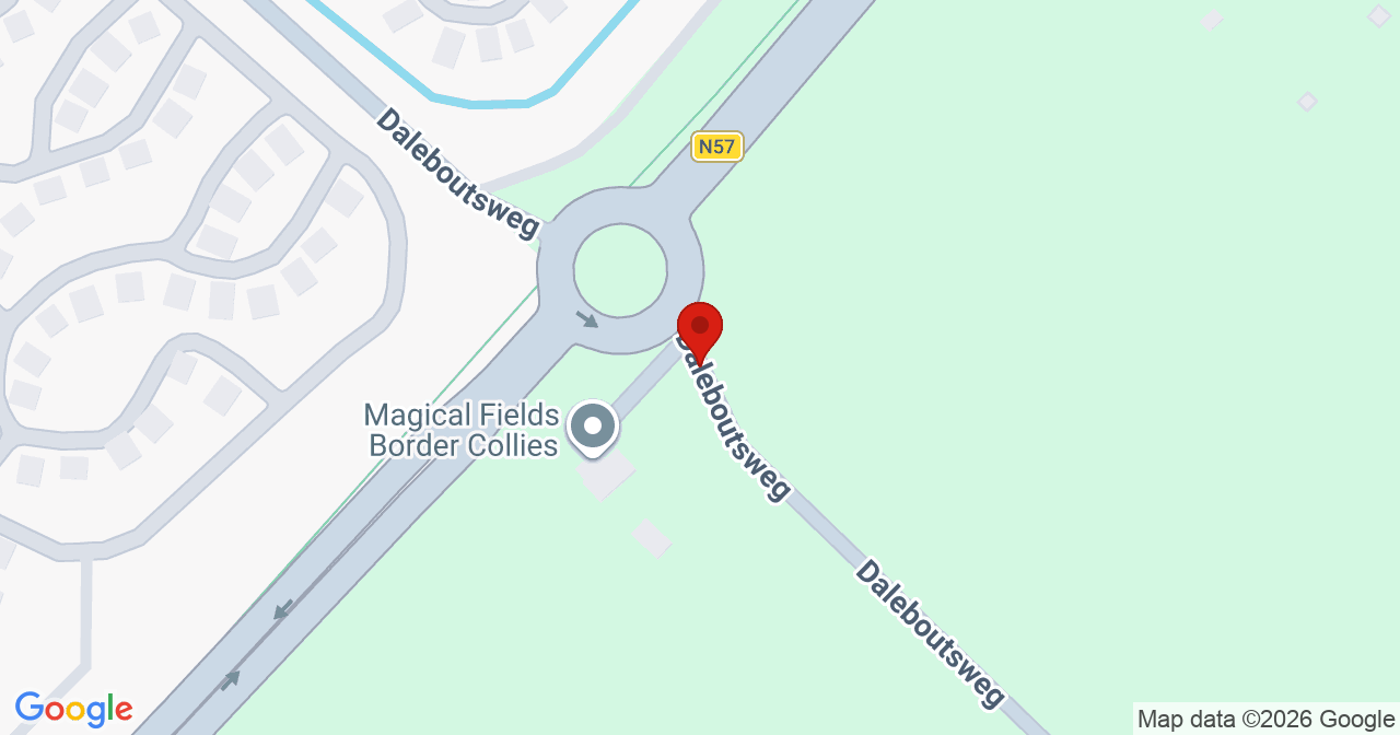 Kaart van het incident in Burgh-Haamstede met de aanrijroutes van de gealarmeerde eenheden