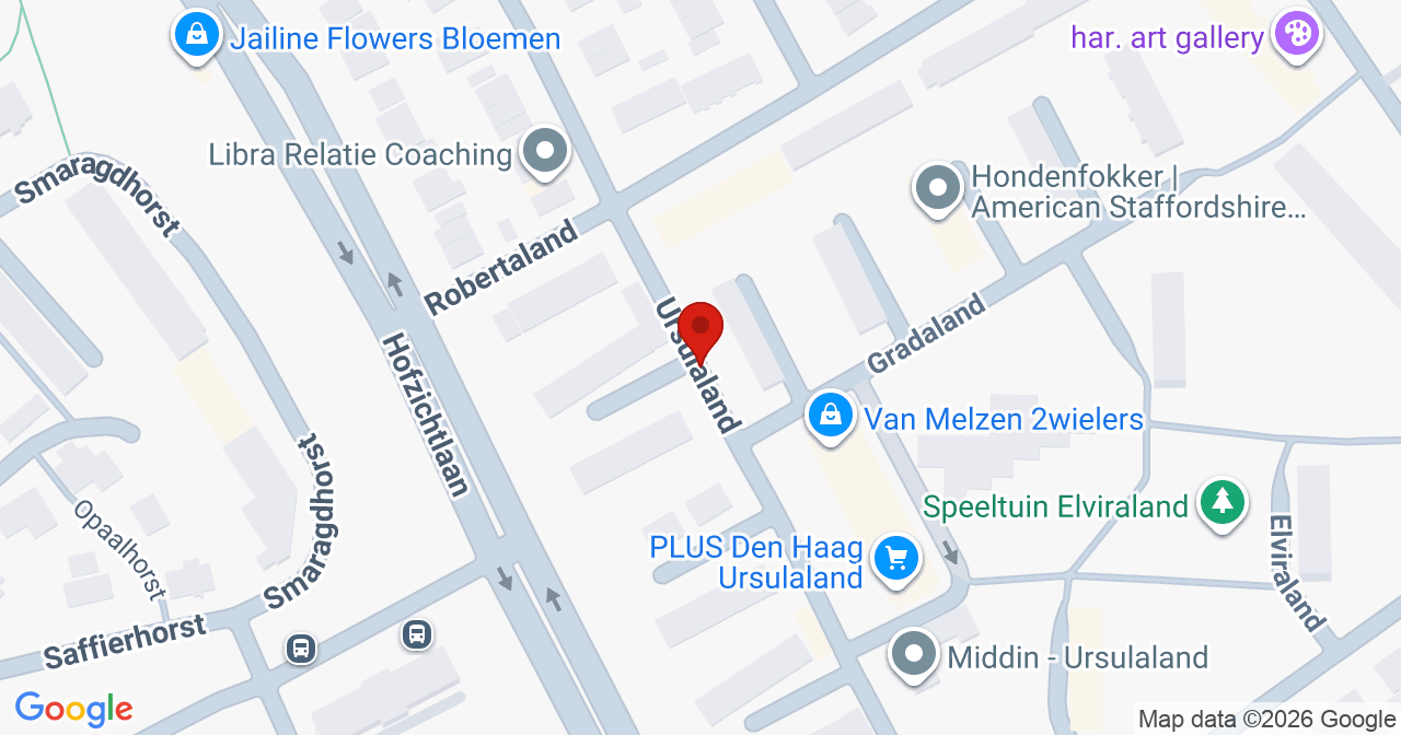 Kaart van het incident in 's-Gravenhage met de aanrijroutes van de gealarmeerde eenheden