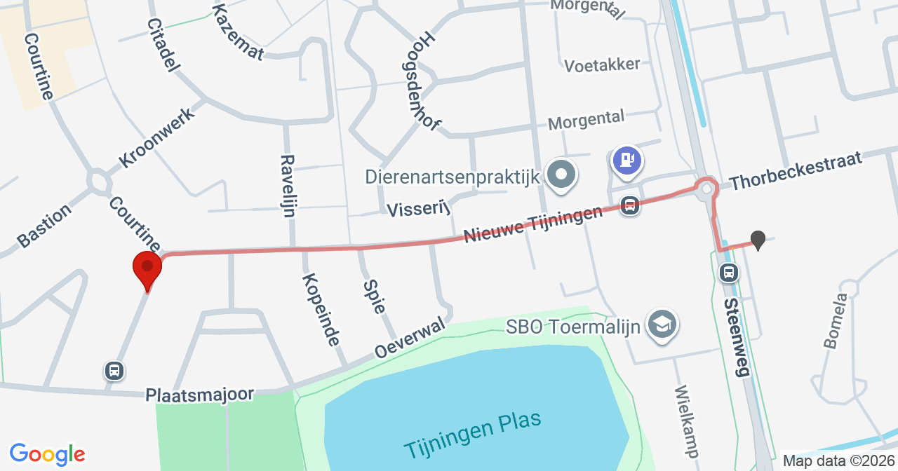 Kaart van het incident in Zaltbommel met de aanrijroutes van de gealarmeerde eenheden