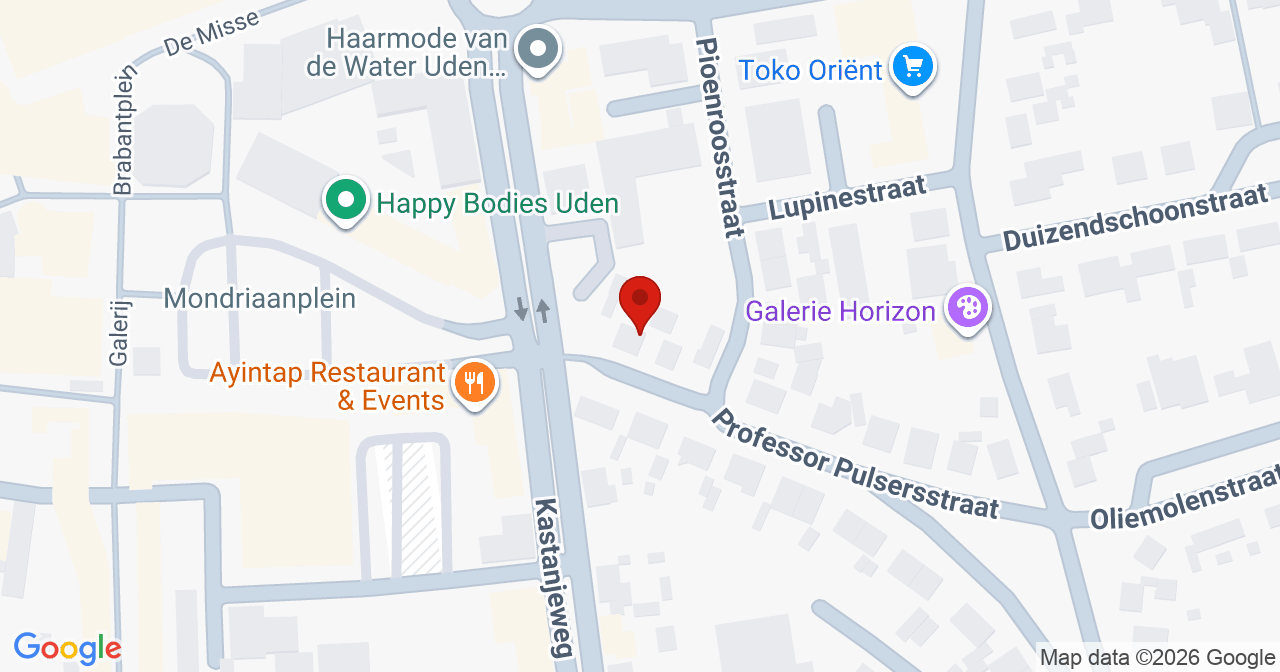 Kaart van het incident in Uden met de aanrijroutes van de gealarmeerde eenheden