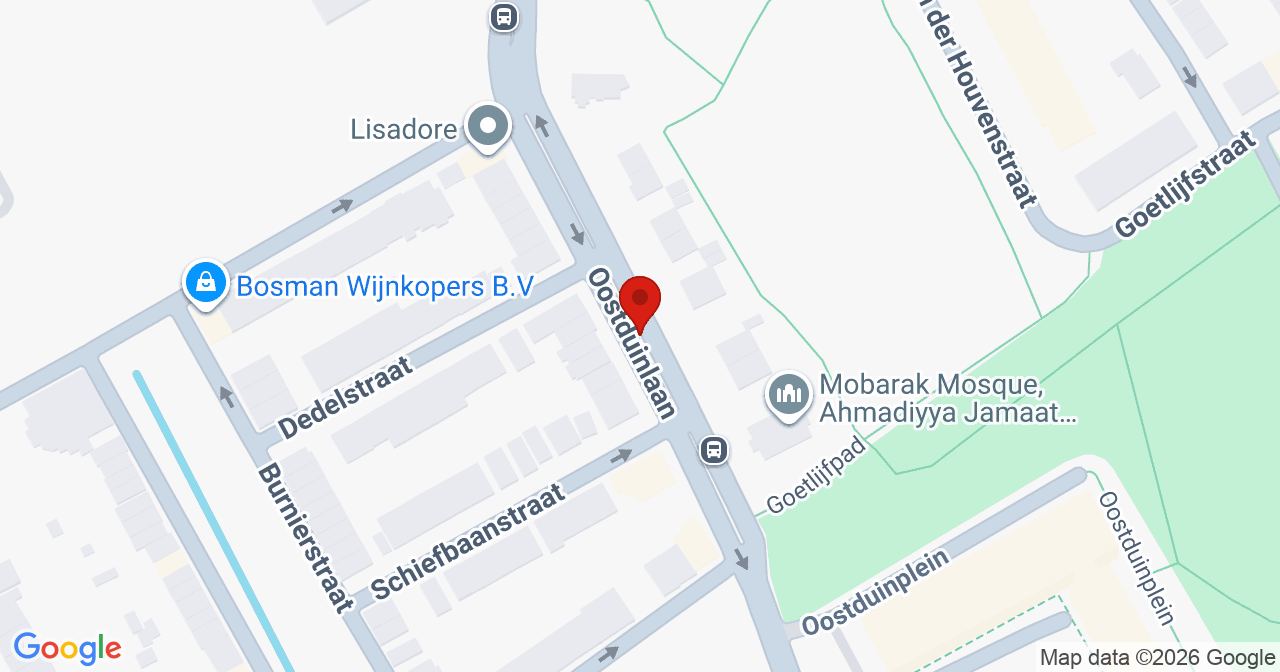 Kaart van het incident in 's-Gravenhage met de aanrijroutes van de gealarmeerde eenheden