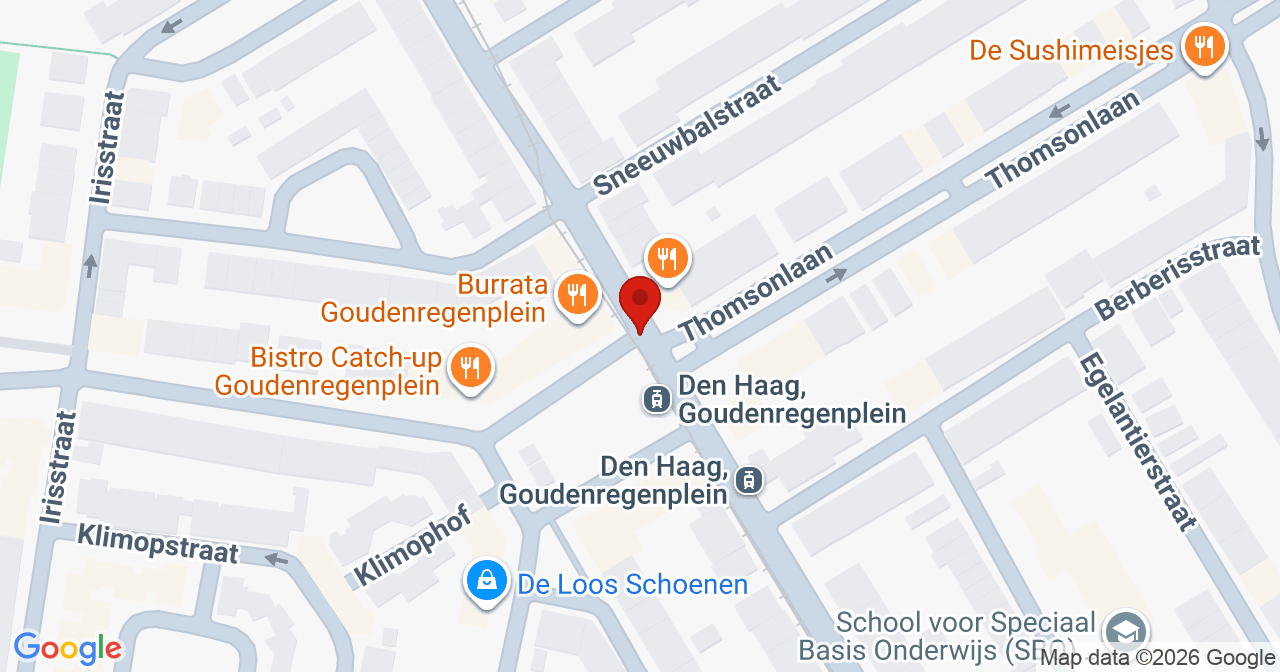 Kaart van het incident in 's-Gravenhage met de aanrijroutes van de gealarmeerde eenheden