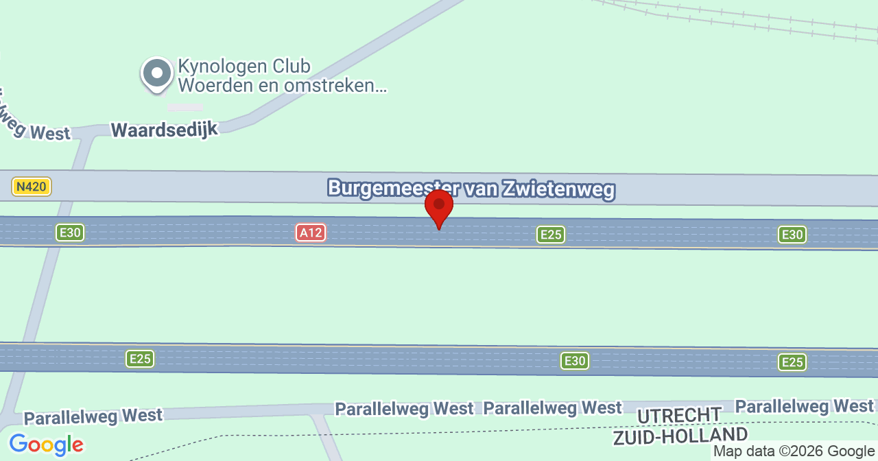 Kaart van het incident in Woerden met de aanrijroutes van de gealarmeerde eenheden
