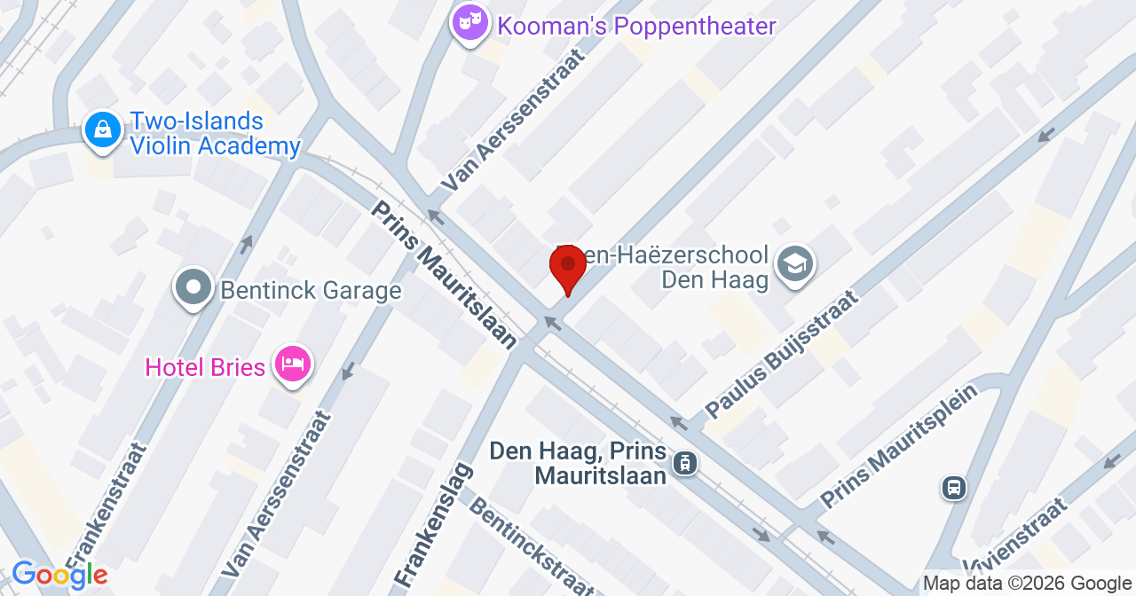 Kaart van het incident in 's-Gravenhage met de aanrijroutes van de gealarmeerde eenheden