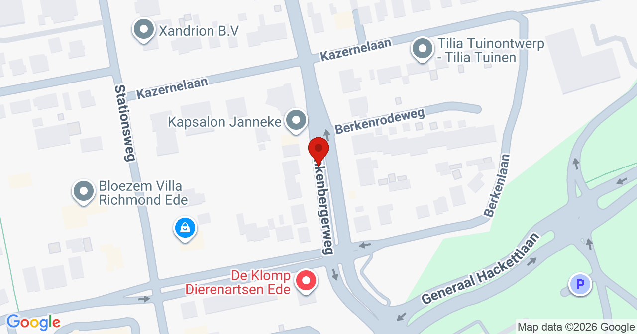 Kaart van het incident in Ede met de aanrijroutes van de gealarmeerde eenheden