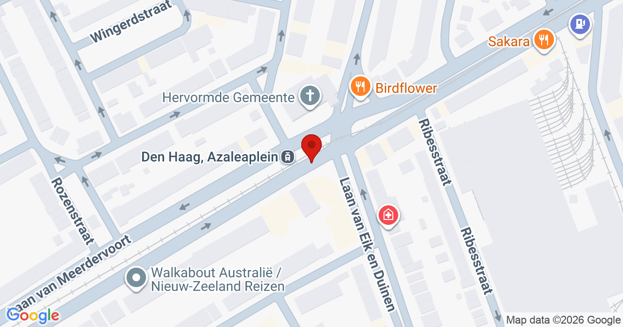 Kaart van het incident in 's-Gravenhage met de aanrijroutes van de gealarmeerde eenheden