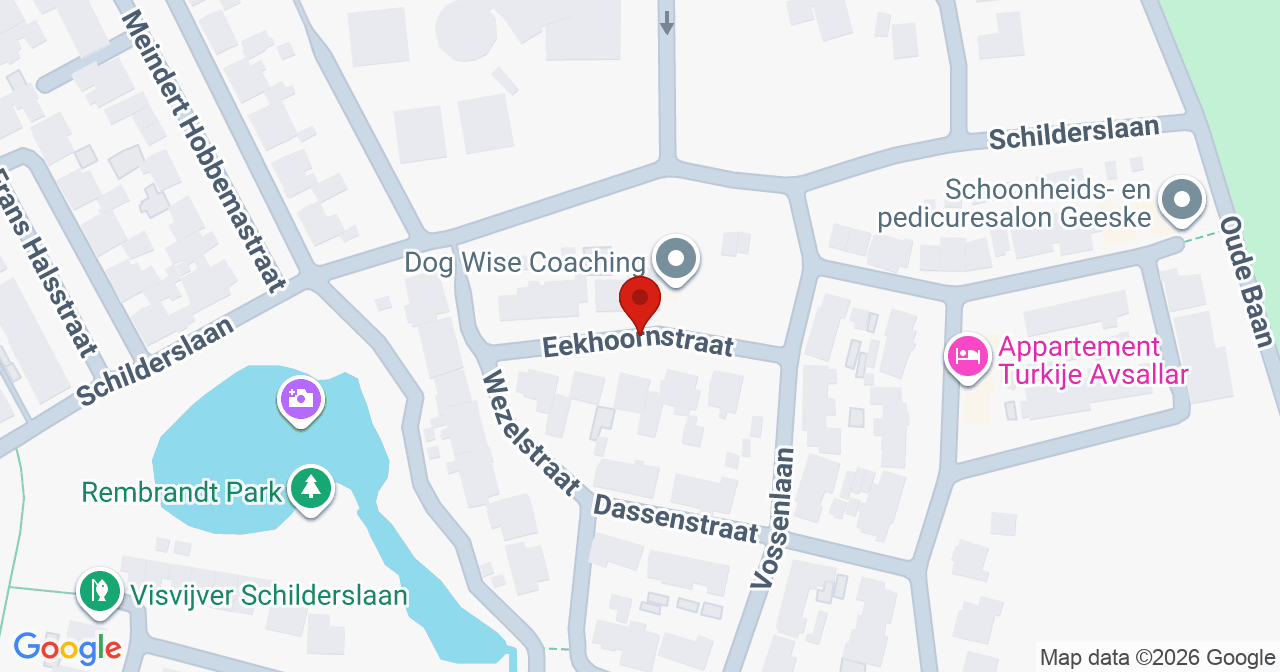 Kaart van het incident in Bergen L met de aanrijroutes van de gealarmeerde eenheden