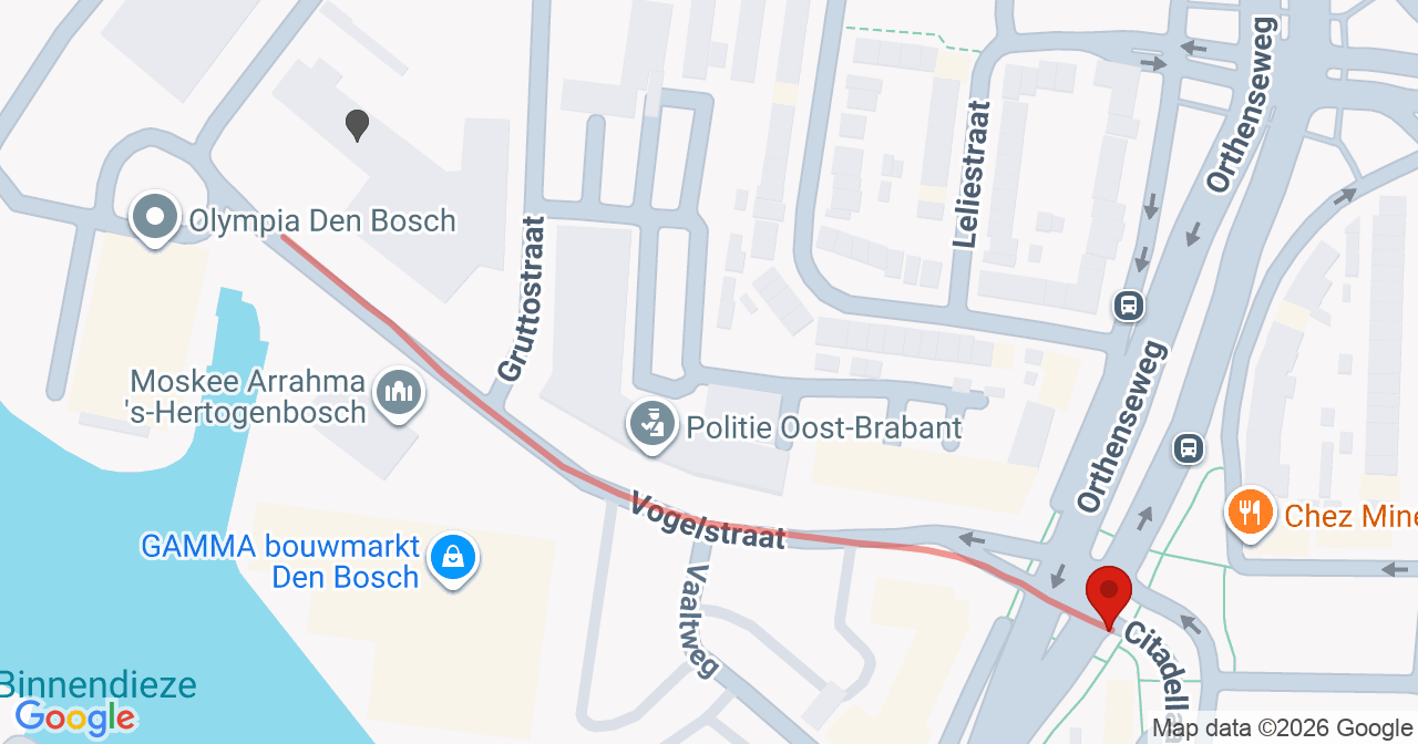 Kaart van het incident in 's-Hertogenbosch met de aanrijroutes van de gealarmeerde eenheden
