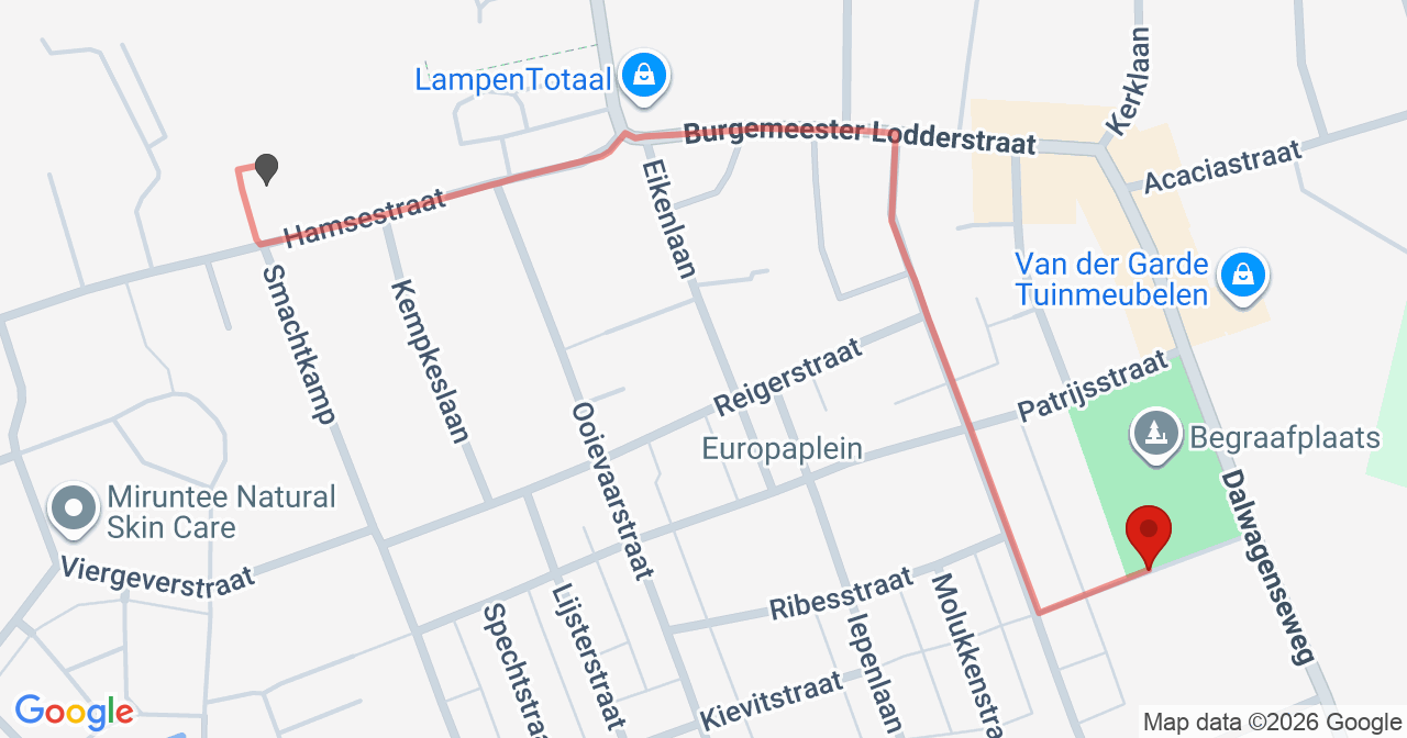 Kaart van het incident in Opheusden met berekende routes vanaf gealarmeerde posten