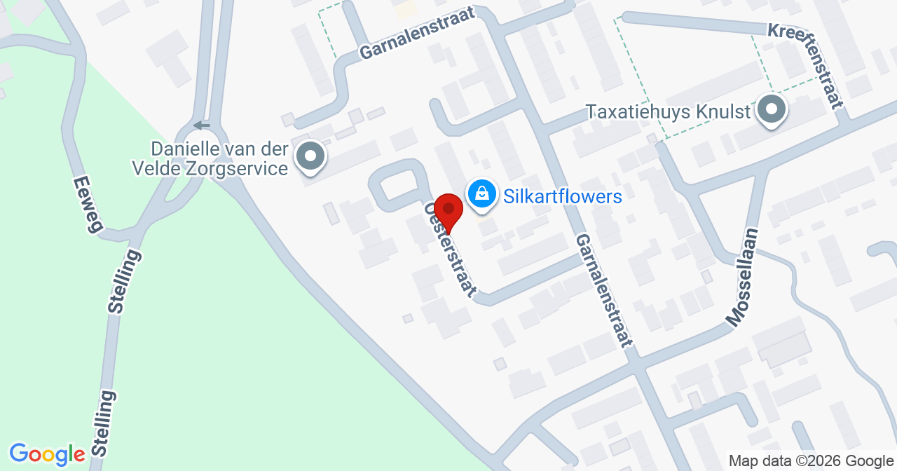 Kaart van het incident in Tholen met berekende routes vanaf gealarmeerde posten