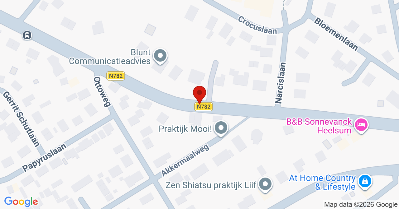 Kaart van het incident in Heelsum met berekende routes vanaf gealarmeerde posten