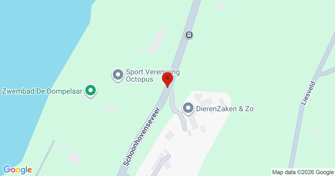 Kaart van het incident in Groot-Ammers met berekende routes vanaf gealarmeerde posten