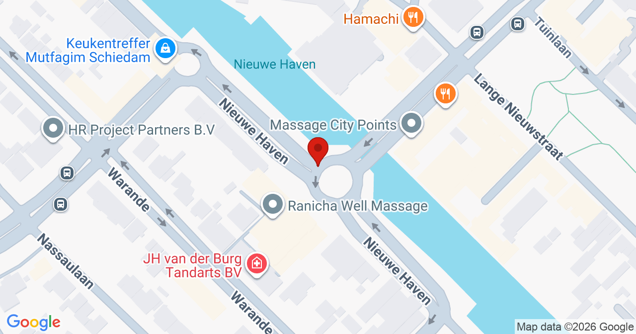 Kaart van het incident in Schiedam met berekende routes vanaf gealarmeerde posten