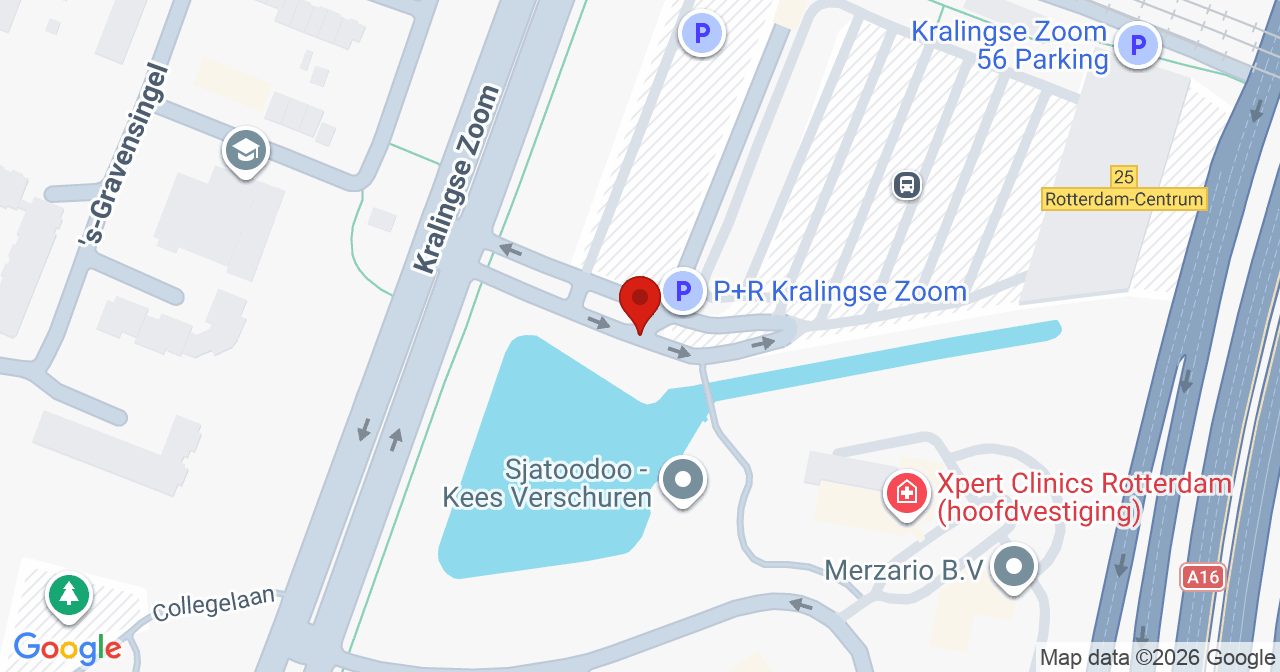 Kaart van het incident in Rotterdam met berekende routes vanaf gealarmeerde posten