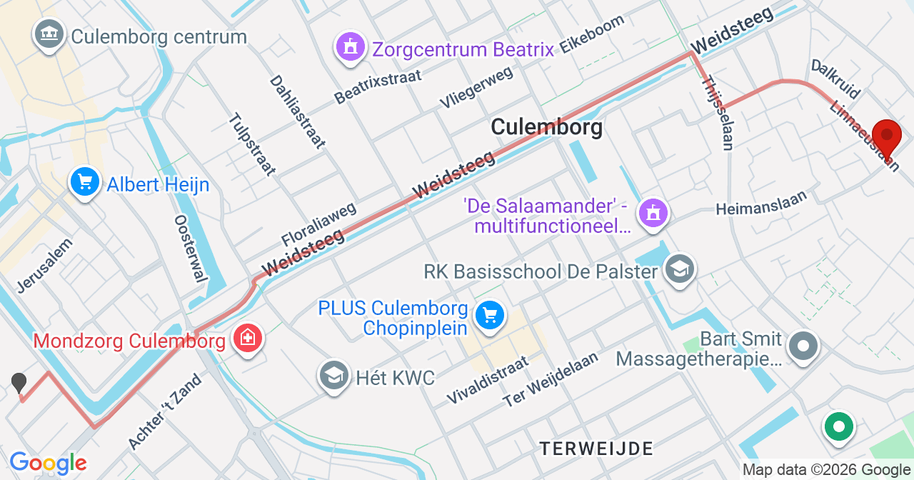 Kaart van het incident in Culemborg met de aanrijroutes van de gealarmeerde eenheden