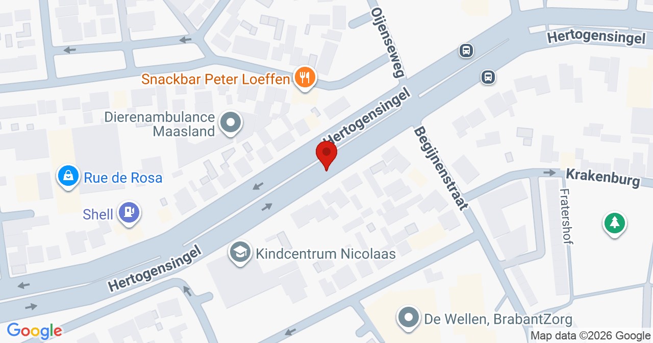Kaart van het incident in Oss met berekende routes vanaf gealarmeerde posten