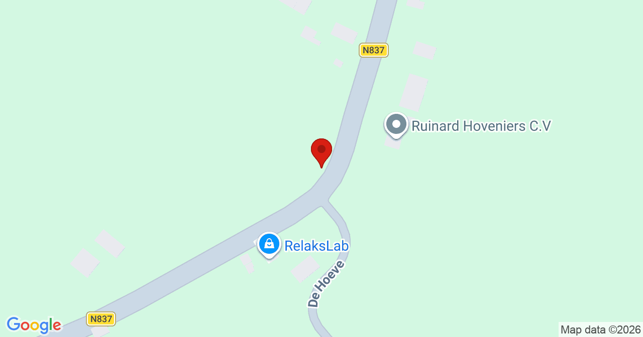 Kaart van het incident in Randwijk met berekende routes vanaf gealarmeerde posten