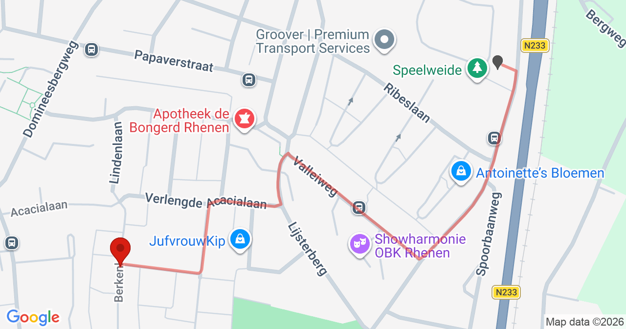 Kaart van het incident in Rhenen met berekende routes vanaf gealarmeerde posten