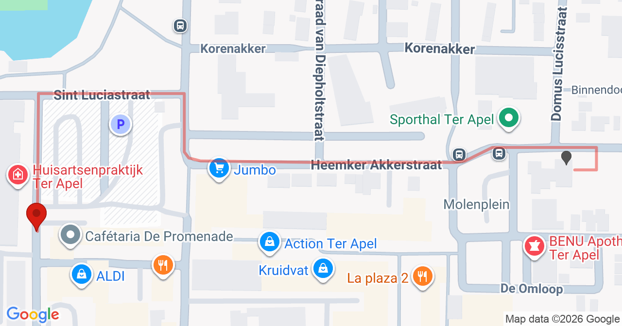 Kaart van het incident in Ter Apel met berekende routes vanaf gealarmeerde posten