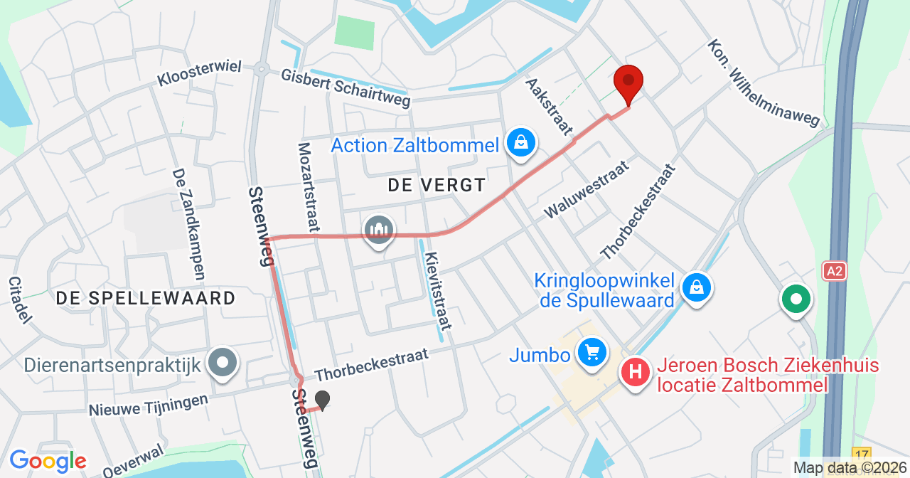 Kaart van het incident in Zaltbommel met berekende routes vanaf gealarmeerde posten