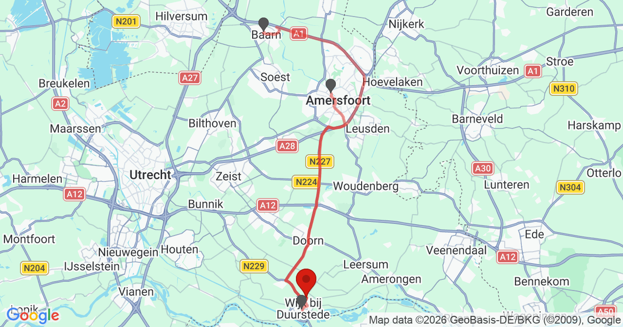 Kaart van het incident in Wijk bij Duurstede met de aanrijroutes van de gealarmeerde eenheden