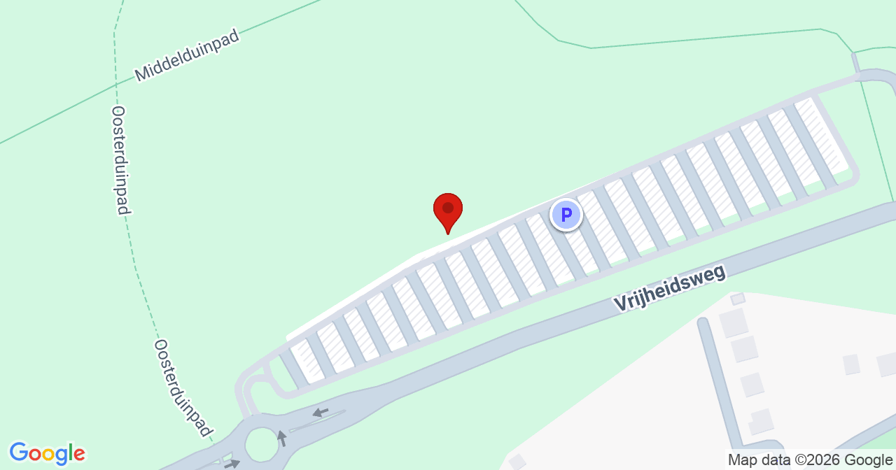 Kaart van het incident in Ouddorp ZH met de aanrijroutes van de gealarmeerde eenheden